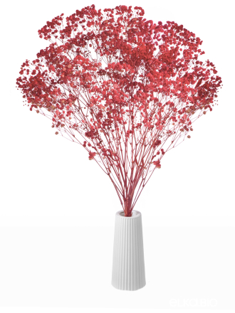 Гипсофила коралловая 140 г. Высший сорт - стабилизированная М671