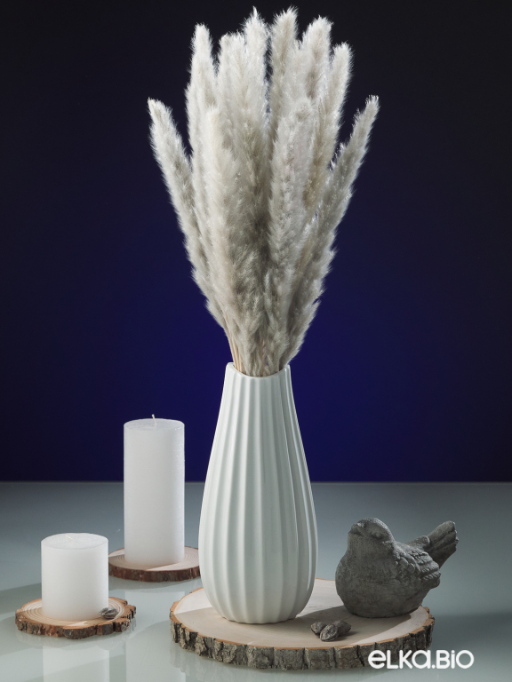 Трава сухоцвет пампас мини 90 шт. серый первый сорт