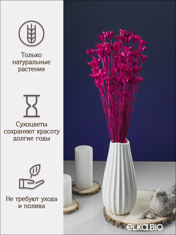 Нигелла фуксия 50г. Высший сорт. Высота 40-55 см. М408