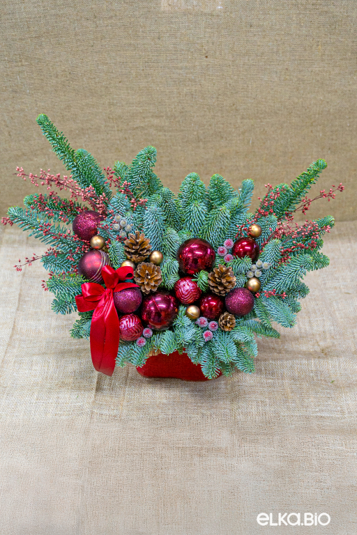 Композиция из пихты Нобилис Королева Виктория К15