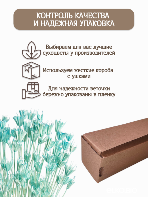 Нигелла голубая 50г. Высший сорт. Высота 40-55 см. М410