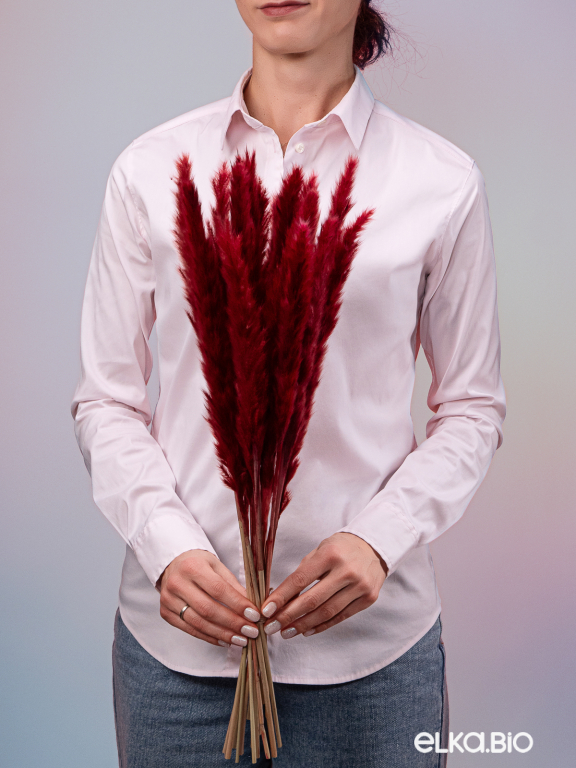 Трава сухоцвет пампас мини 90 шт. бордовый первый сорт