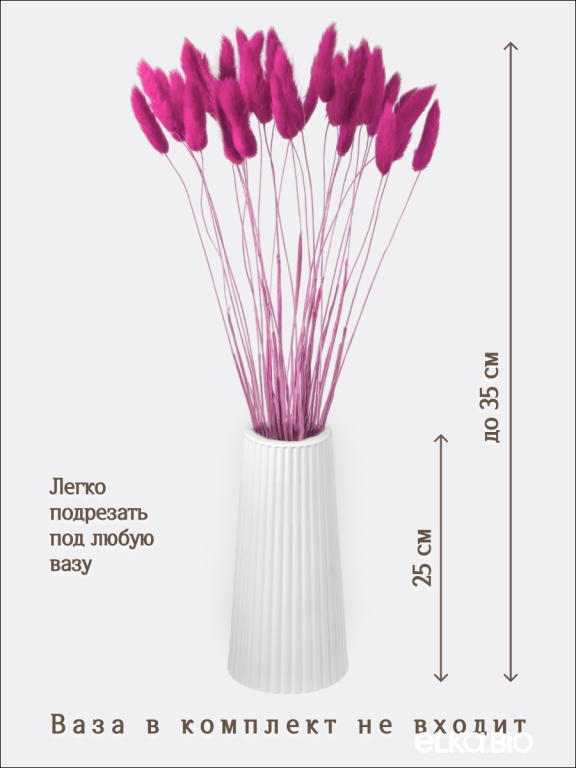 Лагурус фуксия 30 шт. Высший сорт. Высота 25-35 см М488