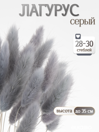 Лагурус серый 30 шт. Высший сорт. Высота 25-35 см М482