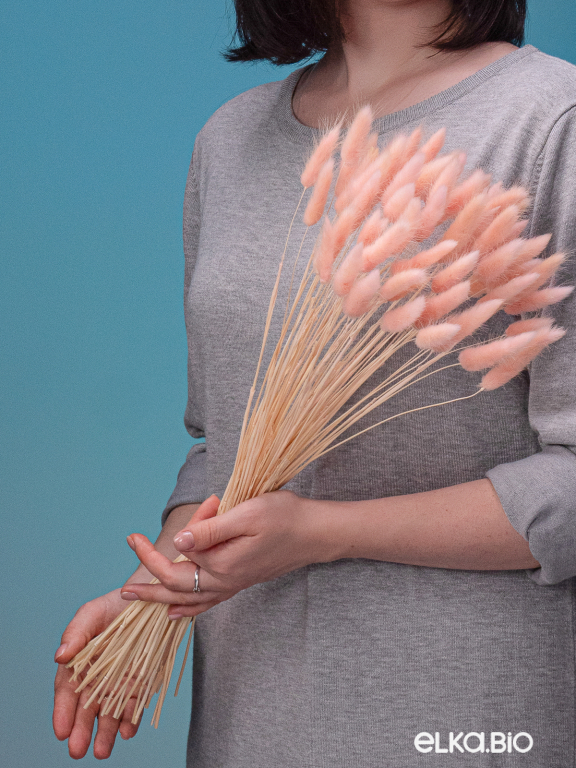 Лагурус светло-розовый высший сорт - 60 шт Лагурус светло-розовый высший сорт - 60 шт