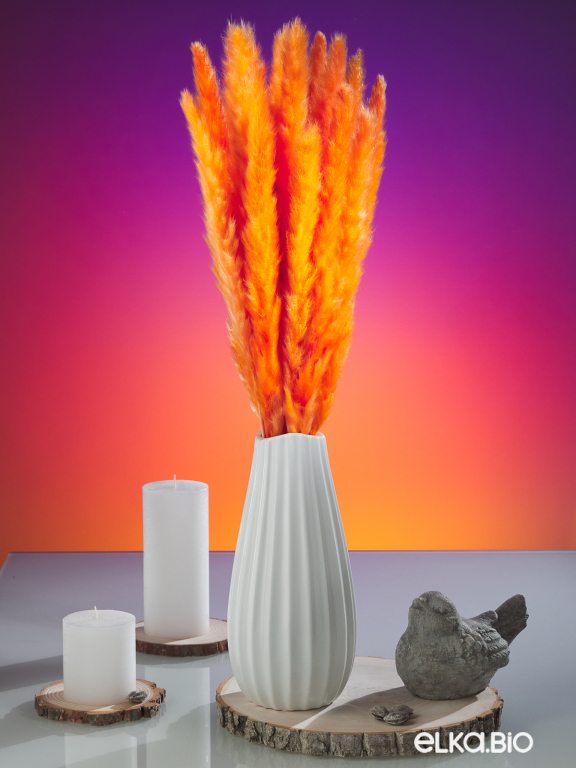 Трава сухоцвет пампас мини 15 шт. оранжевый высший сорт