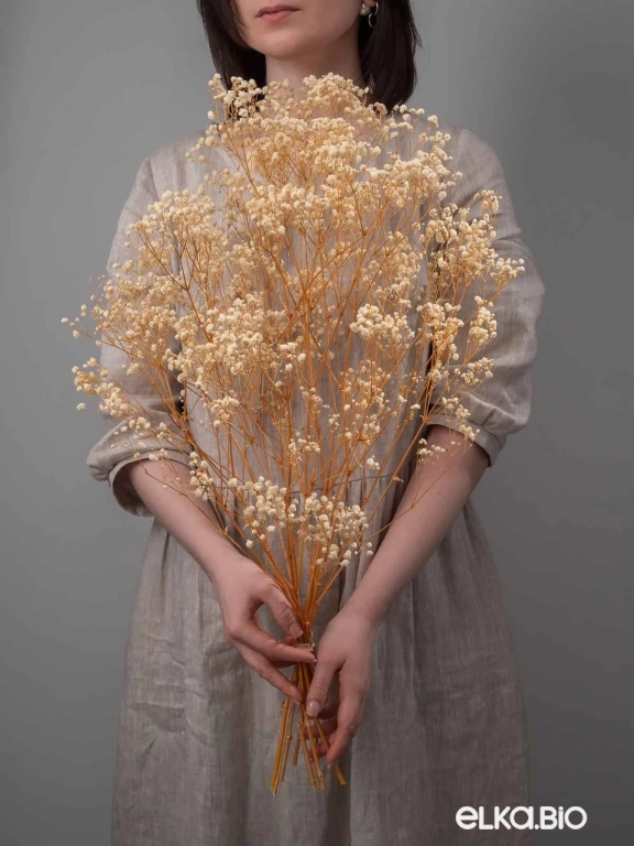 Гипсофила стабилизированная бежевая 140 гр. высший сорт М051