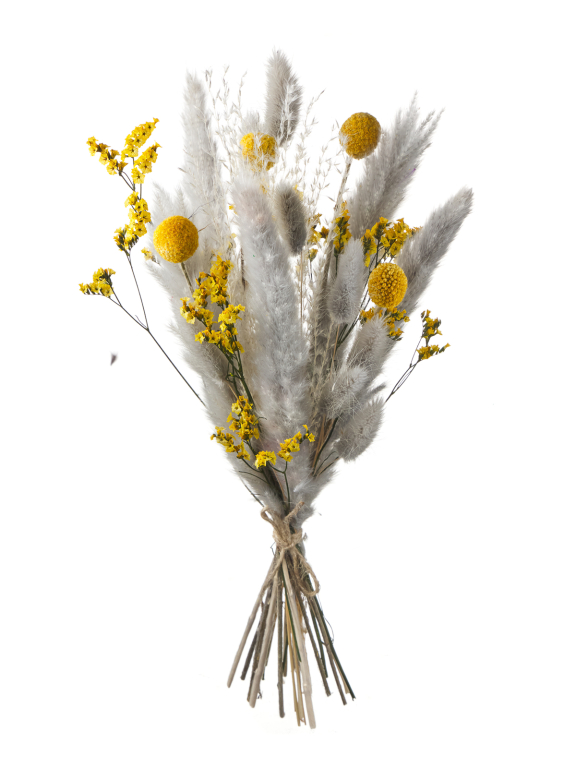 Нежные сухоцветы для декора в наборе М320