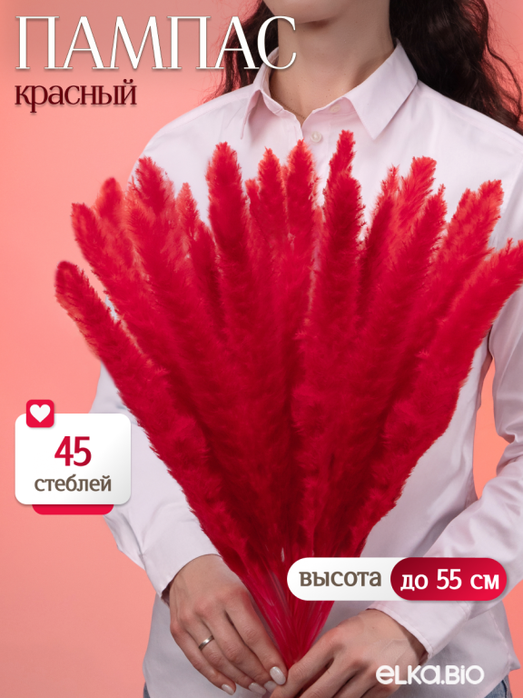 Пампас мини красный 45 шт. Высший сорт М267