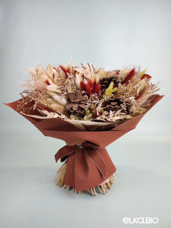 Букет из сухоцветов с шишками Б117-B113