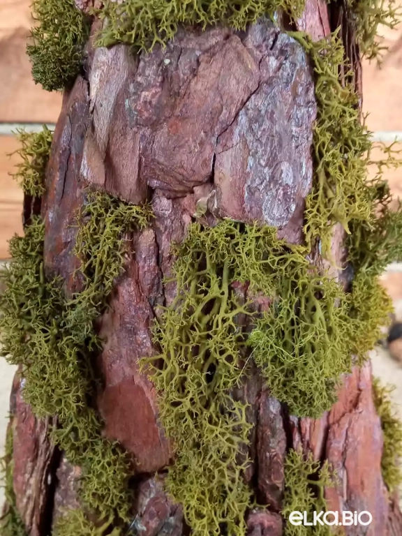 Настольная декоративная елка из коры и мха Лесной чародей Т64-В23