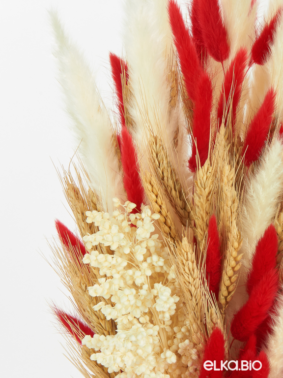 Сухоцветы для декора в наборе М091