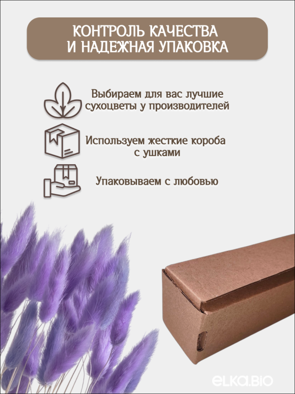 Лагурус сиреневый 60 шт. Высший сорт. Высота 25-35 см М237