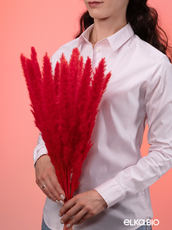 Трава сухоцвет пампас мини 15 шт. высший сорт красный