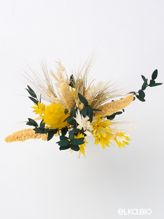 Яркие сухоцветы для декора в наборе М316
