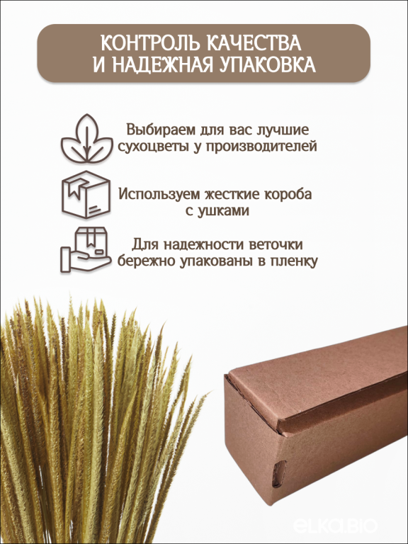 Алопекурус (тимофеевка) натуральный 150 шт. Высший сорт - до 50 см  М451