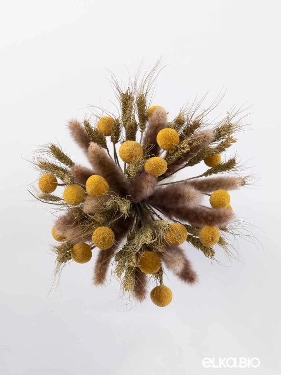 Натуральные сухоцветы для декора. Набор М066