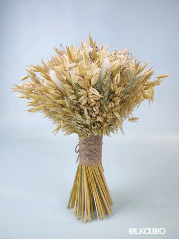 Букет сухоцветов овса и фаляриса Т248-B113