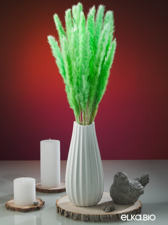 Трава сухоцвет пампас мини 15 шт. салатовый высший сорт