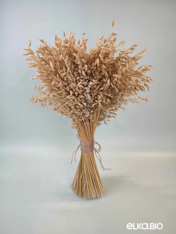Букет из овса и фаляриса с лотосом А179-B111 Букет из овса и фаляриса с лотосом А179-B111