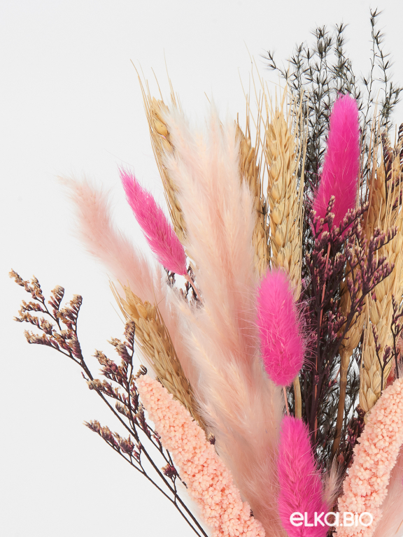 Сухоцветы для декора в наборе М365