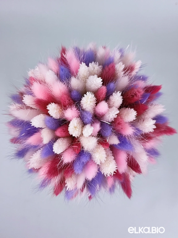 Букет из разноцветного лагуруса Т194-B107