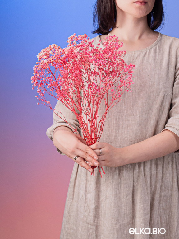 Гипсофила стабилизированная розовая 50 гр. высший сорт М176