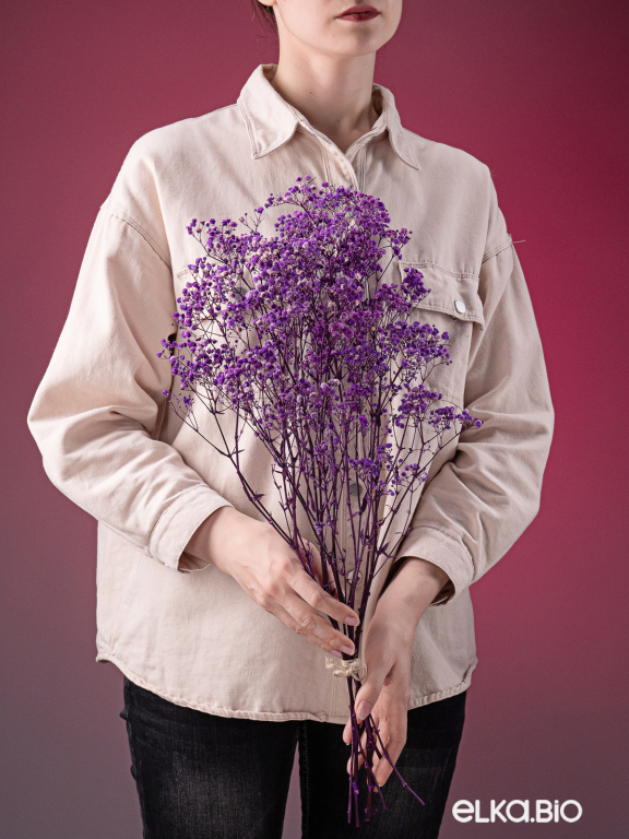 Гипсофила стабилизированная сиреневая 550 гр. первый сорт М5166