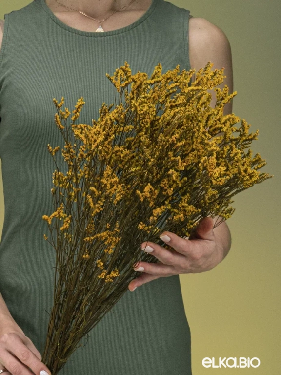 Цветы лимониума жёлтые (80г) М216