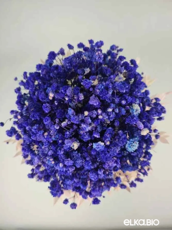 Cтабилизированный синий букет невесты из гипсофилы Б104-B116