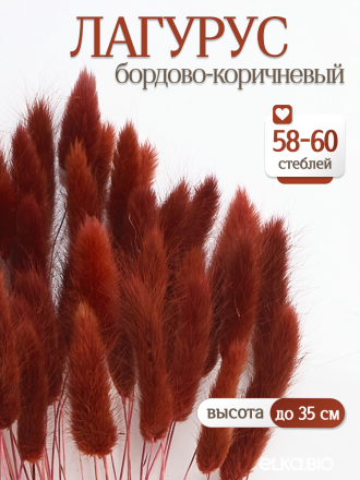 Лагурус бордово-коричневый 60 шт. Высший сорт. Высота 25-35 см М225