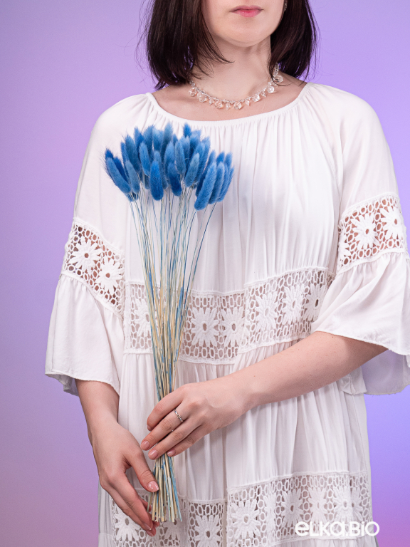 Лагурус синий высший сорт - 60 шт