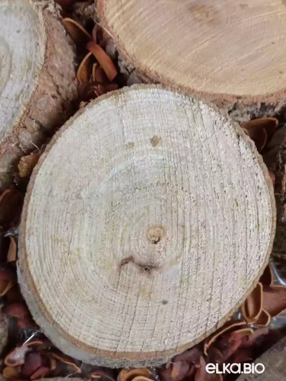 Декоративный шар из спилов и кедровой шелухи Деревянный М15-В19