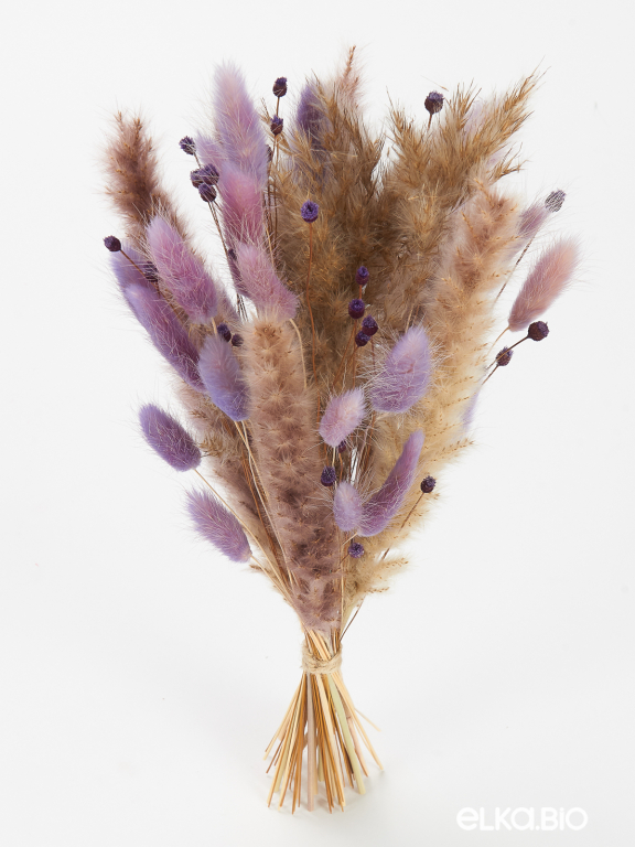 Сухоцветы для декора набор в нежных тонах М310