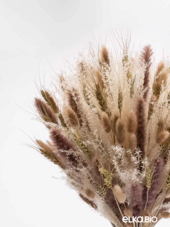 Натуральные сухоцветы для декора. Набор М060