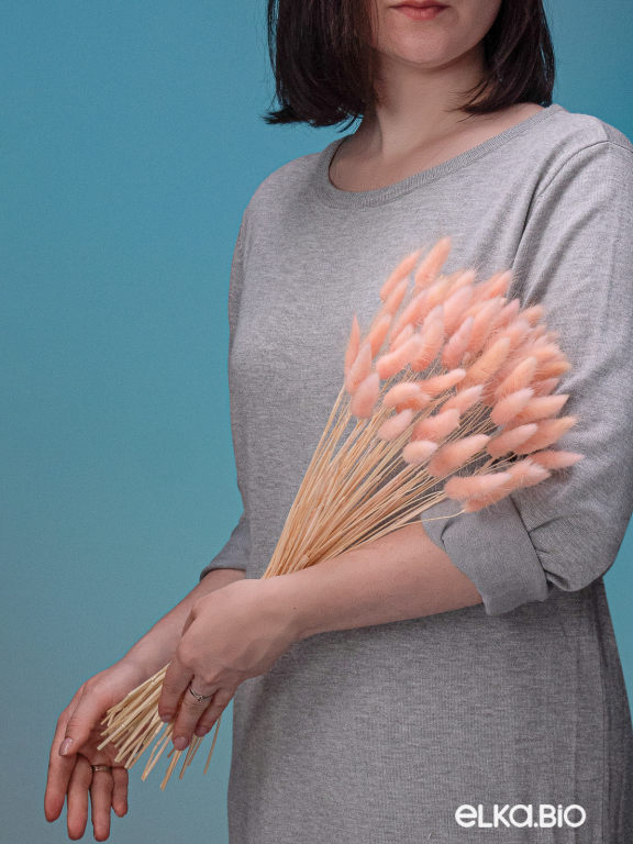 Лагурус светло-розовый первый сорт - 300 шт