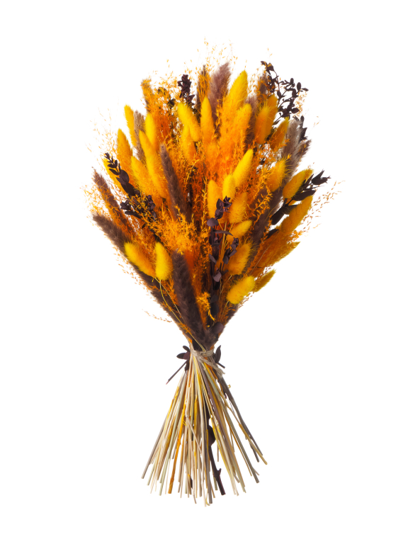 Яркий набор сухоцветов М093