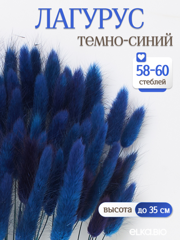 Лагурус тёмно-синий 60 шт. Высший сорт. Высота 25-35 см М239