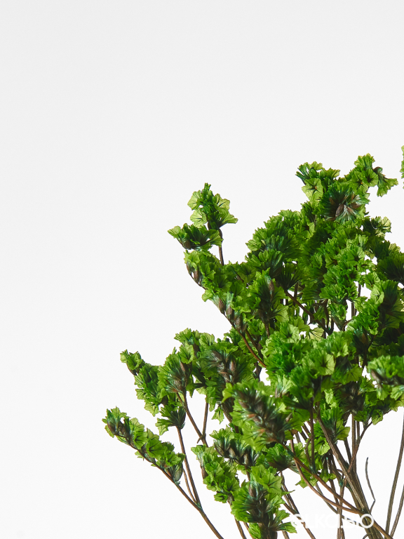 Цветы лимониума зелёные (80г) М217 Цветы лимониума зелёные (80г) М217