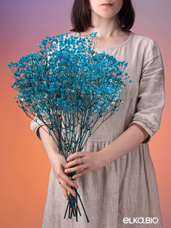 Гипсофила ярко-бирюзовая 140г. Высший сорт - стабилизированная М053