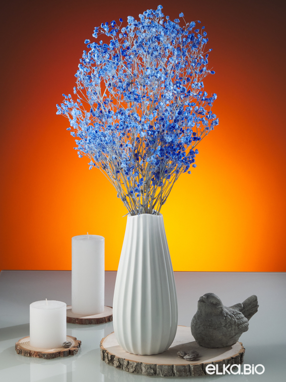 Гипсофила стабилизированная синяя 140 гр. высший сорт М165 Гипсофила стабилизированная синяя 140 гр. высший сорт М165