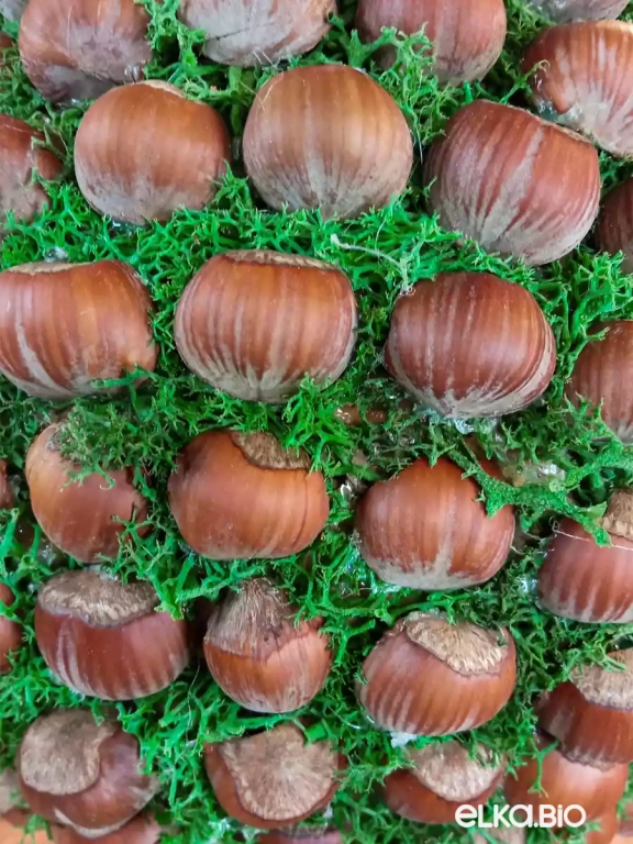 Декоративный шар из скорлупы фундука Фундук (большой) М4-В20