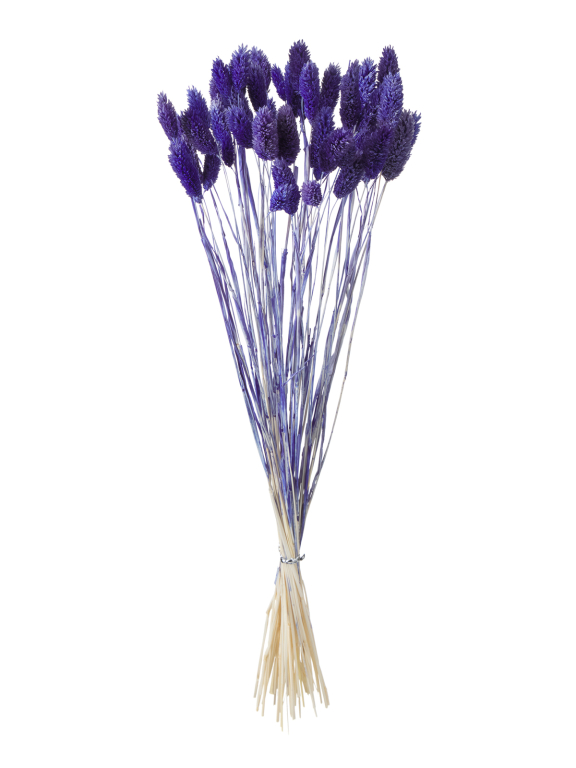 Фалярис синий (40шт) М114