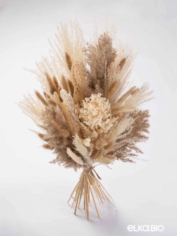 Cухоцветы для декора. Набор М072