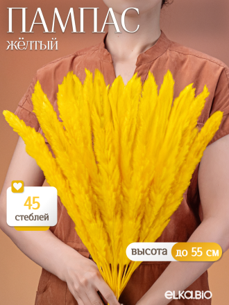 Пампас мини желтый 45 шт. Высший сорт М266