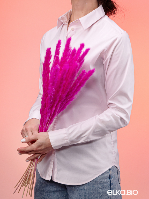 Трава сухоцвет пампас мини 15 шт. фуксия высший сорт Трава сухоцвет пампас мини 15 шт. фуксия высший сорт