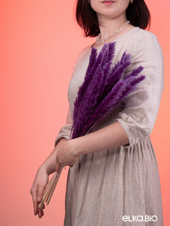 Трава сухоцвет пампас мини 15 шт. фиолетовый высший сорт