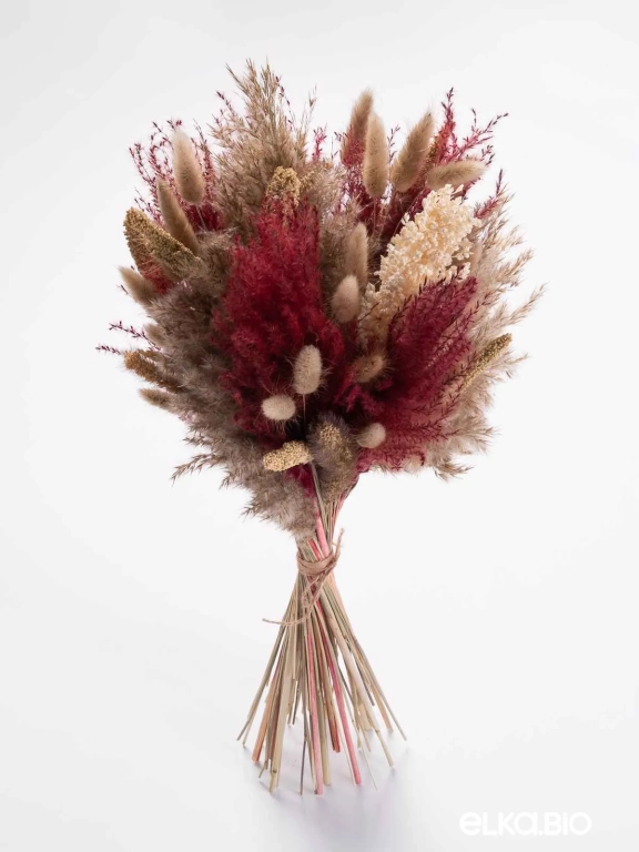 Сухоцветы для декора интерьера. Набор М071