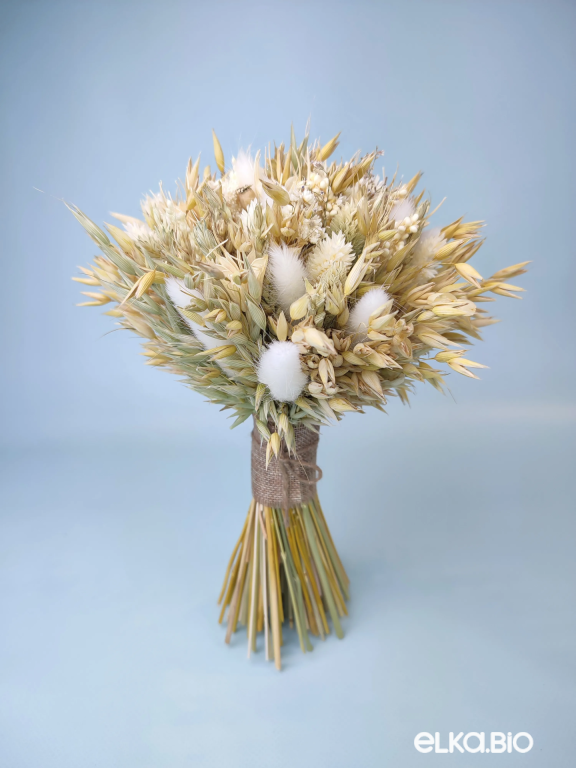 Букет сухоцветов овса и фаляриса Т248-B113