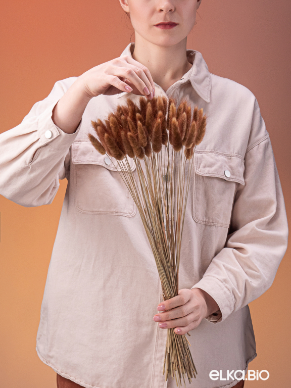 Лагурус шоколадный высший сорт - 60 шт Лагурус шоколадный высший сорт - 60 шт